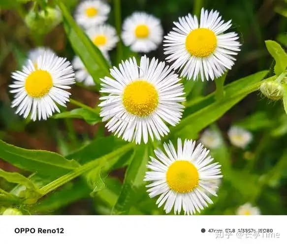test0508-1